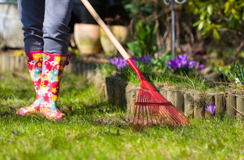 Cleaning garden in the Spring