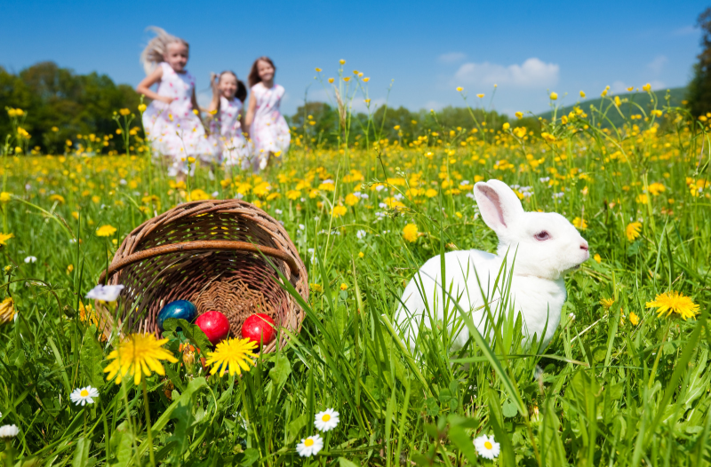 Easter Holiday