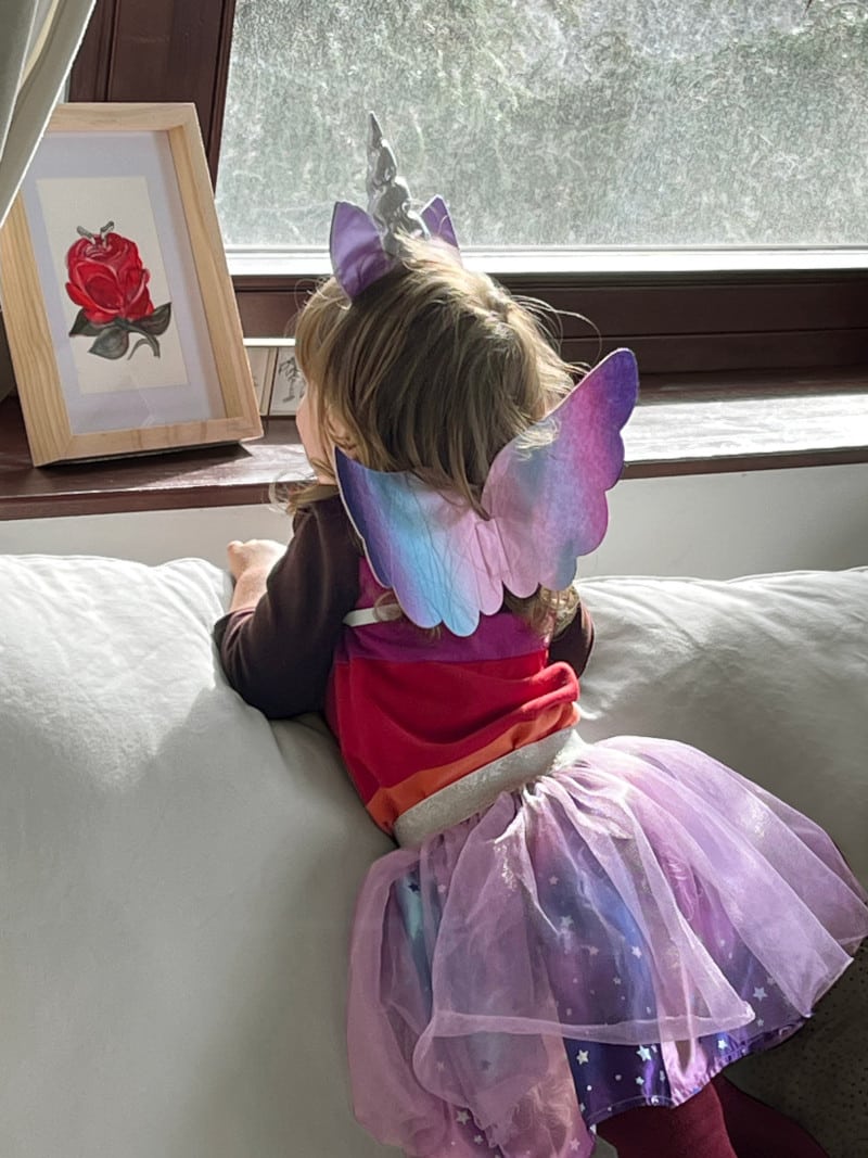 Fairy and Goblin picture book by Kinga Tavasz and Beata Kadlicsko