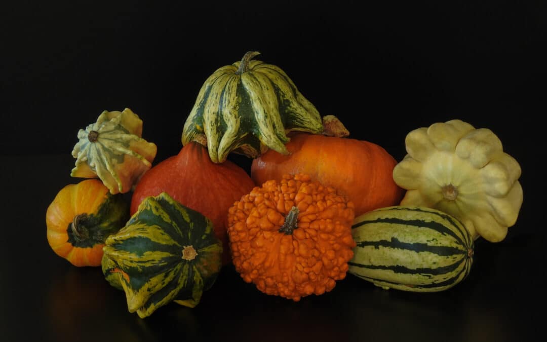 The Three Sisters in The Pumpkin Soup!