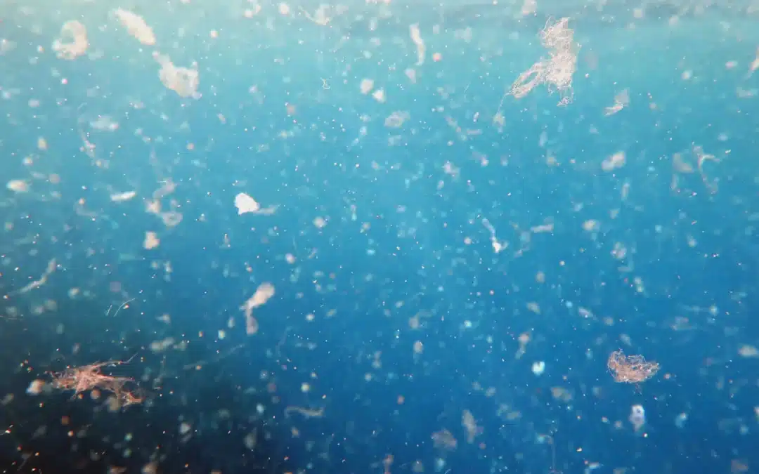 Improve Your Health by Living with Less Plastic