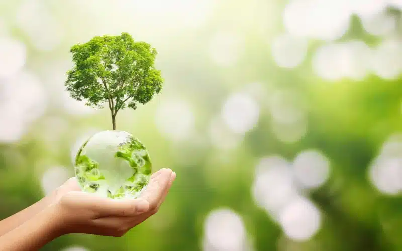 self awareness and personal growth journey